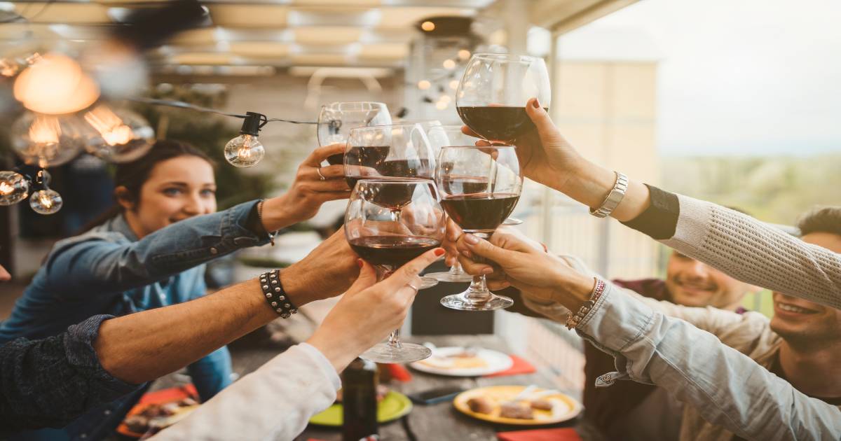 Enkele vrienden genieten onder een terrasoverkapping van een glas wijn en het goede weer.