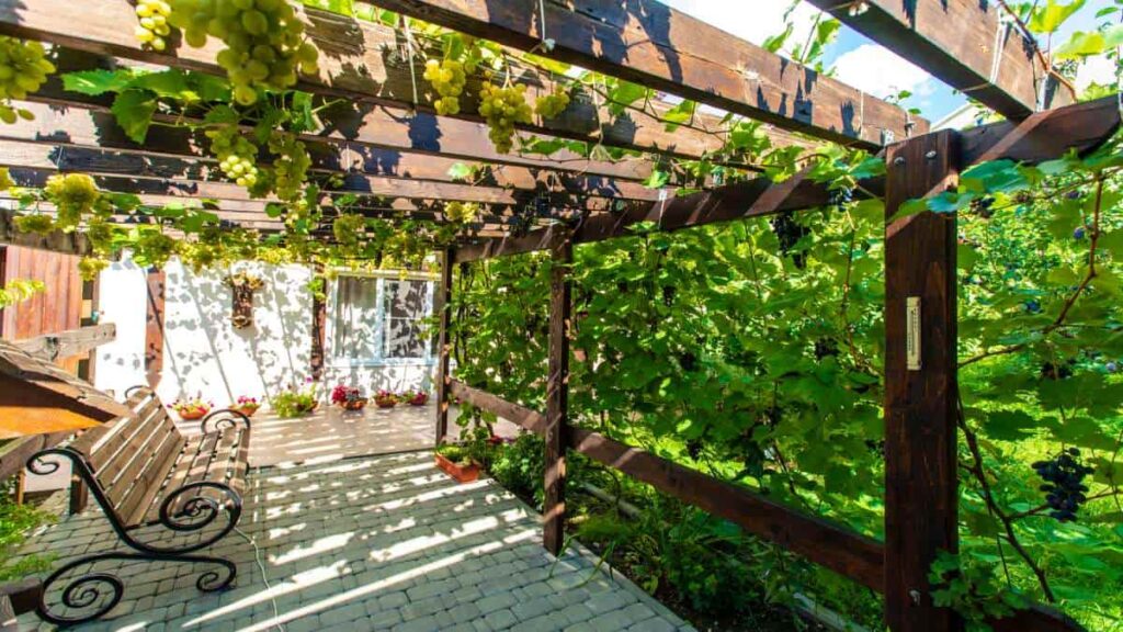 Terrasoverkapping ingericht met veel planten.